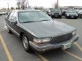 Medium Gray Metallic - Roadmaster Limited Photo No. 8