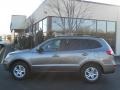 Mineral Gray - Santa Fe GLS AWD Photo No. 13