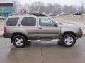 Granite Metallic - Xterra XE 4x4 Photo No. 3