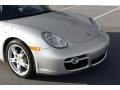 Arctic Silver Metallic - Cayman  Photo No. 25