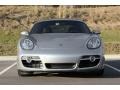 Arctic Silver Metallic - Cayman  Photo No. 27