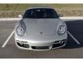 Arctic Silver Metallic - Cayman  Photo No. 28