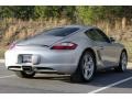 Arctic Silver Metallic - Cayman  Photo No. 38