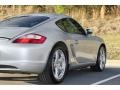 Arctic Silver Metallic - Cayman  Photo No. 39