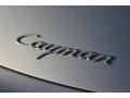  2008 Cayman  Logo