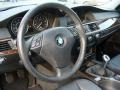 Black Steering Wheel Photo for 2009 BMW 5 Series #60889996