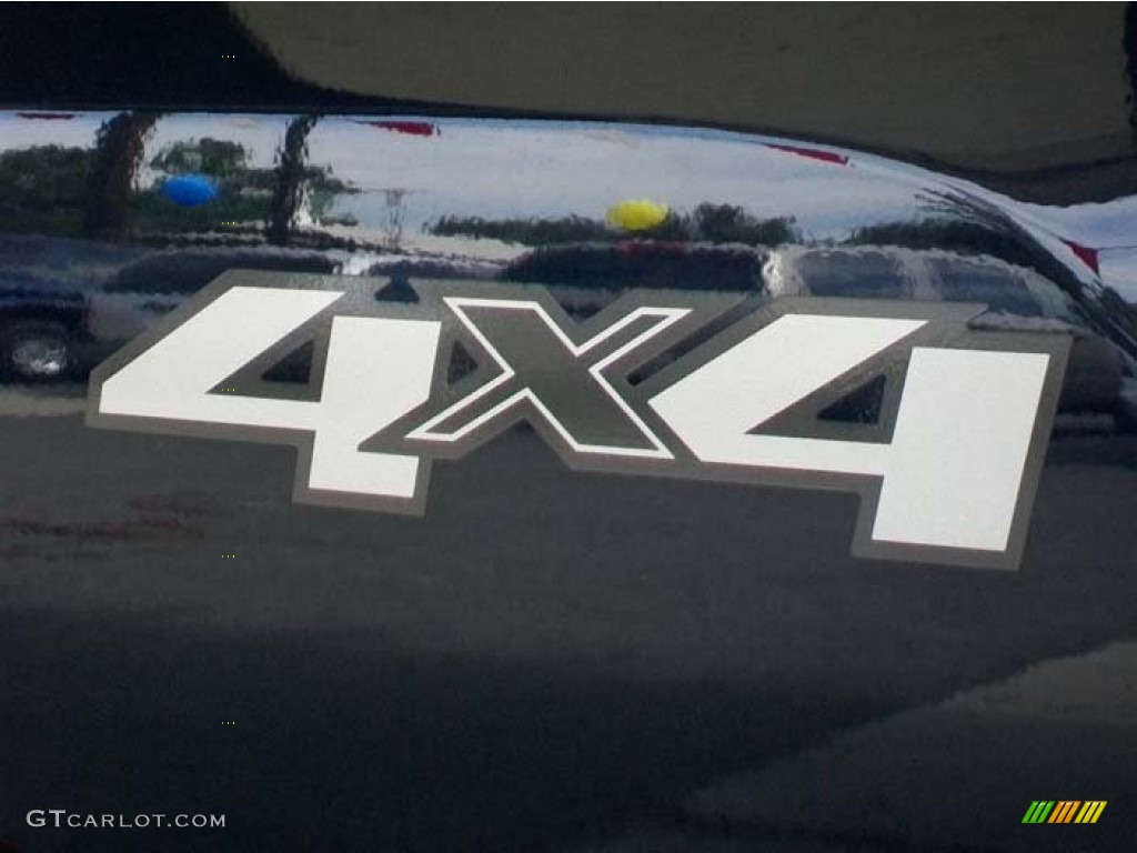 2010 Chevrolet Silverado 1500 LS Extended Cab 4x4 Marks and Logos Photos