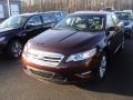 Cinnamon Metallic - Taurus SEL Photo No. 1