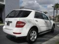Arctic White - ML 350 4Matic Photo No. 6