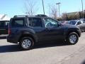 2010 Night Armor Metallic Nissan Xterra X  photo #3