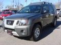 2010 Night Armor Metallic Nissan Xterra X  photo #8