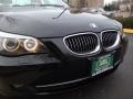 Black Sapphire Metallic - 5 Series 535xi Sedan Photo No. 13