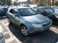 2009 Sage Green Metallic Subaru Forester 2.5 X Premium  photo #1