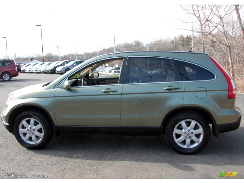 2008 CR-V EX-L 4WD - Green Tea Metallic / Ivory photo #12