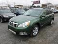 Cypress Green Pearl 2012 Subaru Outback 2.5i Premium Exterior