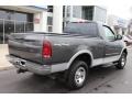 Dark Shadow Grey Metallic - F150 XLT Regular Cab 4x4 Photo No. 11