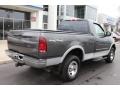 2002 Dark Shadow Grey Metallic Ford F150 XLT Regular Cab 4x4  photo #11