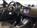 Cocobolo Leather Dashboard Photo for 2010 Lotus Evora #60909929