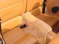 2002 Porsche 911 Natural Brown Interior Rear Seat Photo