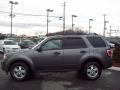 2009 Sterling Grey Metallic Ford Escape XLT 4WD  photo #2