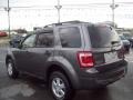 2009 Sterling Grey Metallic Ford Escape XLT 4WD  photo #3