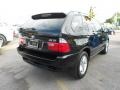 2004 Black Sapphire Metallic BMW X5 4.4i  photo #6