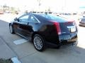 Black Raven - CTS Coupe Photo No. 4
