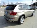 Platinum Bronze Metallic - X5 xDrive35d Photo No. 3