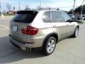 2012 Platinum Bronze Metallic BMW X5 xDrive35d  photo #3