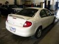 2002 Stone White Dodge Neon SXT  photo #3