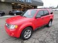2009 Torch Red Ford Escape XLT 4WD  photo #8