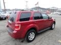 2009 Redfire Pearl Ford Escape Limited V6 4WD  photo #4