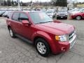 2009 Redfire Pearl Ford Escape Limited V6 4WD  photo #6
