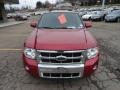 2009 Redfire Pearl Ford Escape Limited V6 4WD  photo #7