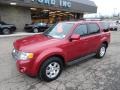 2009 Redfire Pearl Ford Escape Limited V6 4WD  photo #8