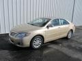 Sandy Beach Metallic - Camry XLE V6 Photo No. 1
