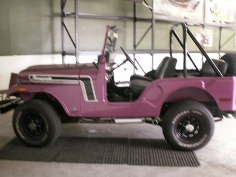 1972 AMC Jeep CJ5 Data, Info and Specs