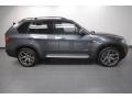 Platinum Gray Metallic - X5 xDrive50i Photo No. 7