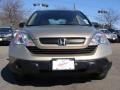 Borrego Beige Metallic - CR-V LX 4WD Photo No. 6