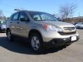 Borrego Beige Metallic - CR-V LX 4WD Photo No. 7