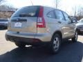 Borrego Beige Metallic - CR-V LX 4WD Photo No. 9