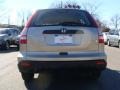 2009 Borrego Beige Metallic Honda CR-V LX 4WD  photo #10
