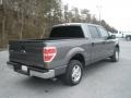 2011 Sterling Grey Metallic Ford F150 XLT SuperCrew  photo #3