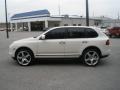 Sand White - Cayenne Tiptronic Photo No. 12