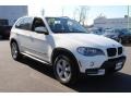 Alpine White - X5 3.0si Photo No. 7