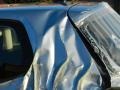 2010 Shark Blue Metallic Volkswagen Golf 2 Door TDI  photo #21