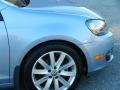 2010 Shark Blue Metallic Volkswagen Golf 2 Door TDI  photo #28