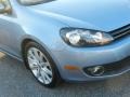 2010 Shark Blue Metallic Volkswagen Golf 2 Door TDI  photo #29