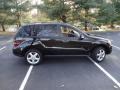 Black - ML 350 4Matic Photo No. 8