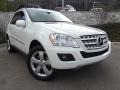 2010 Arctic White Mercedes-Benz ML 350  photo #1